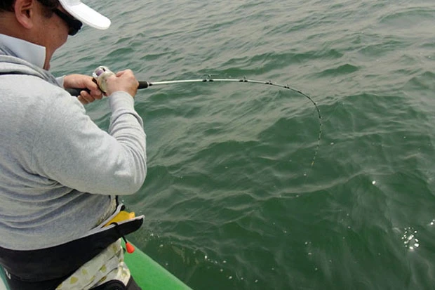 竿先が大きくしなり、海へ引き込まれていく