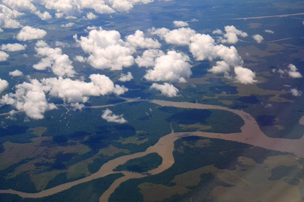 いつか渡る!アマゾン河を上空からチェック