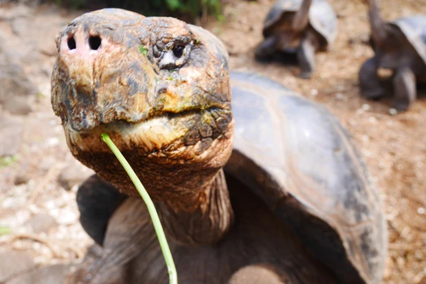 ノロさとは似合わない鋭い目つき。鼻の穴が気になるー笑