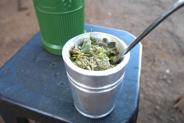  「苦味のきいたマテ茶」