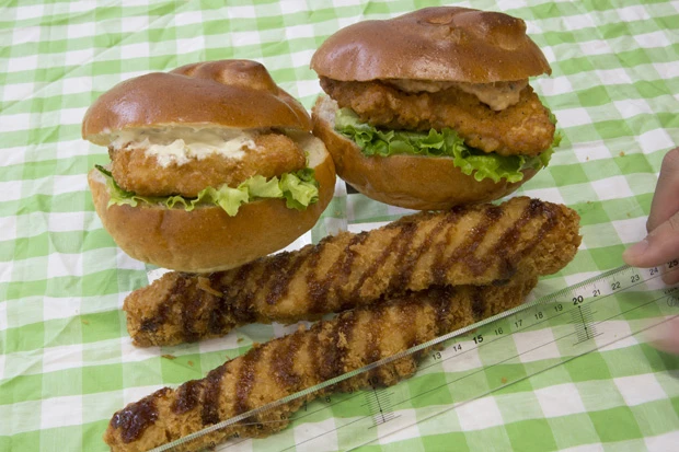  「ココチキ！バーガー」２６７円（右上）、「フィッシュレタスバーガー」２３７ 円（左上）、「ビックささみチキンカツ棒」１３１ 円（下）。どれもビッグ！