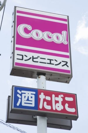  ボリュームがスゴイ！「ココストア」（愛知、北関東、沖縄などが中心）