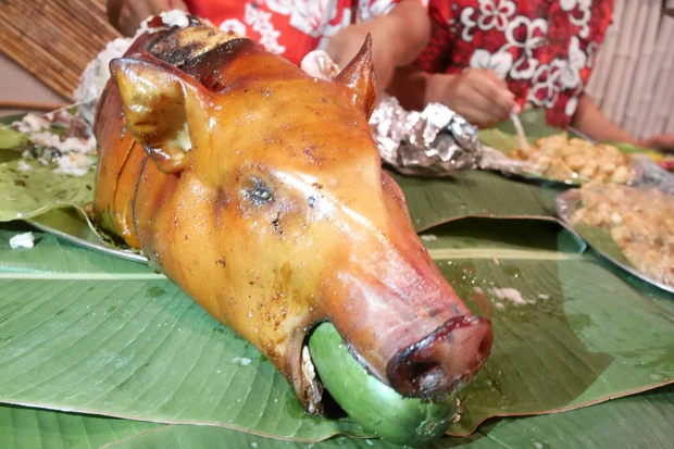  「トンガのブタの丸焼き」