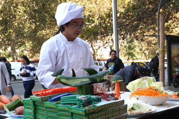 『ズッキーニでサメ?』