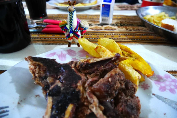  「ウユニ塩湖のホテルでリャマ肉」