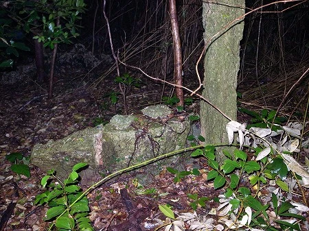 SSS(スリーエス)