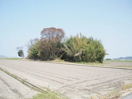 平地に突如現れるシガイの森はそれだけでも不思議な幻想世界のような光景だ