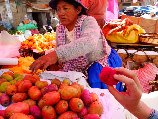  「ラパスのマーケットでサボテンの実」