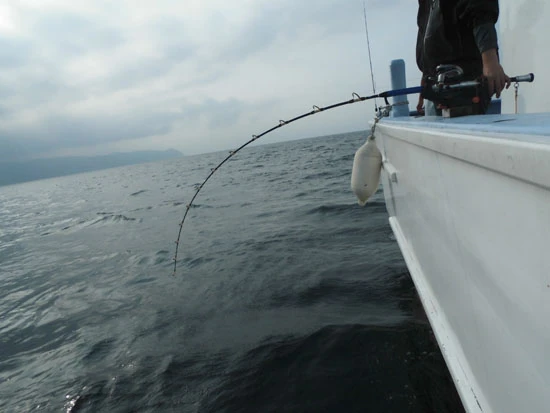 一瞬引き込まれた竿先にいらぬ期待をしてしまった(泣)