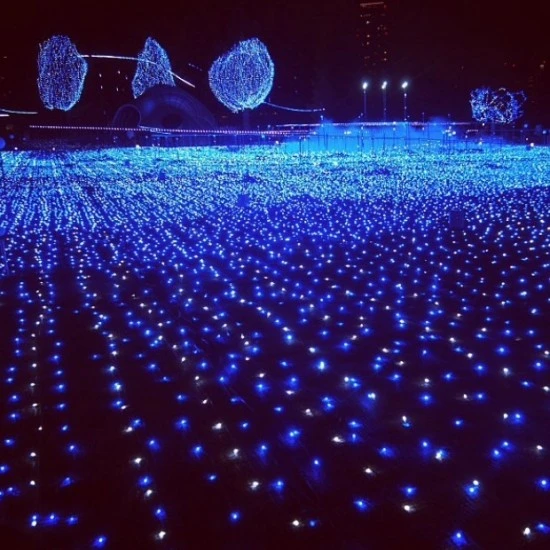 一面青く輝くのは東京ミッドタウン。めっちゃキレイで女のコじゃなくてもテンション上がるはず!!