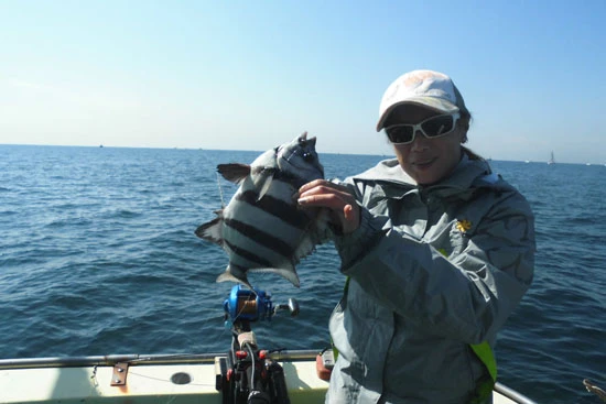 7本の鮮やかな縦縞がキレイなイシダイを釣り上げた!!