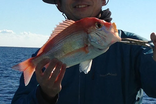 釣り友K氏も中型のアマダイをGET