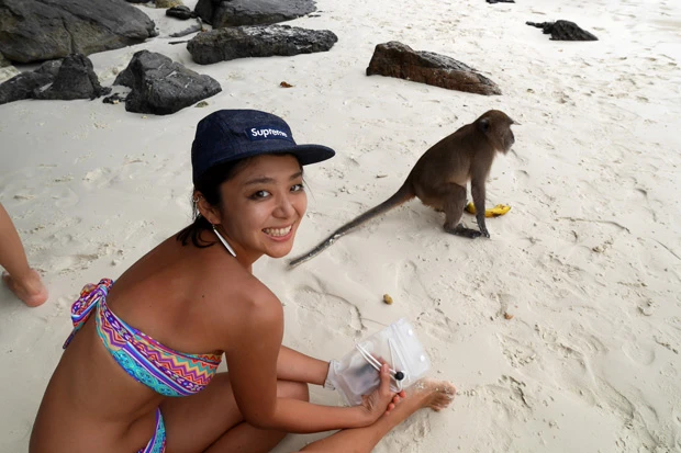 ホントに猿がいるモンキービーチ
