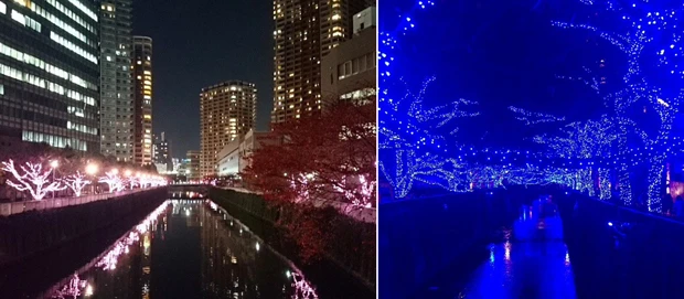 同じ目黒川沿いでも「冬の桜」(左)は大崎から五反田にかけて、「青の洞窟」(右)は中目黒駅の近くです!