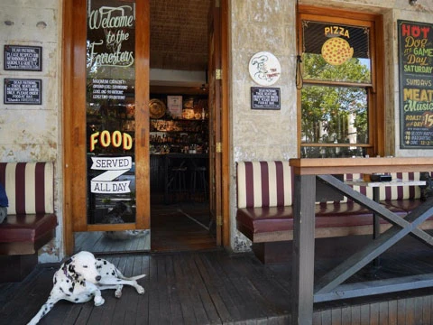 犬もくつろぐオシャレパブ