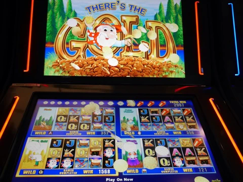 ポーキーマシーン。当たりが出たよ!