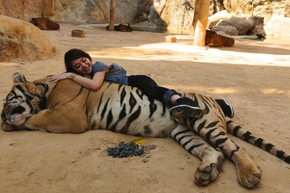 これがうちの高級ソファです