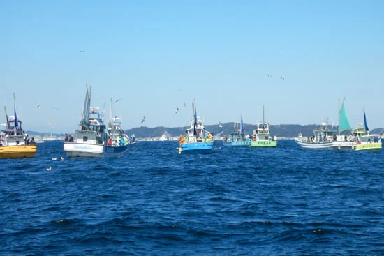 東京湾の神奈川寄りには神奈川の船以外に、東京や我々のように千葉から来た船が集まっていた