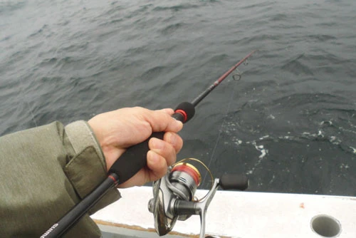 視線は竿先に、手の感触でもマダイの食いつきを感じ取れるようしっかり握る