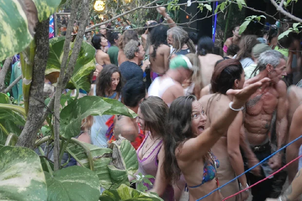 インドの隠れたジャングルパーティー