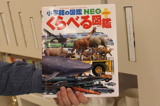 アラサー記者がススメられたのは、なんと「図鑑」だった！