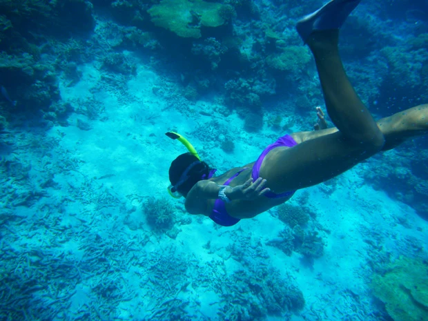 モルディブの海底へダーイブ！