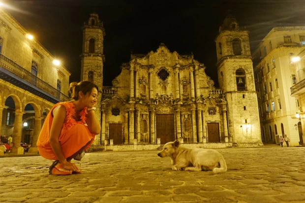 カテドラルの前で寝てる犬とホロ酔いの私