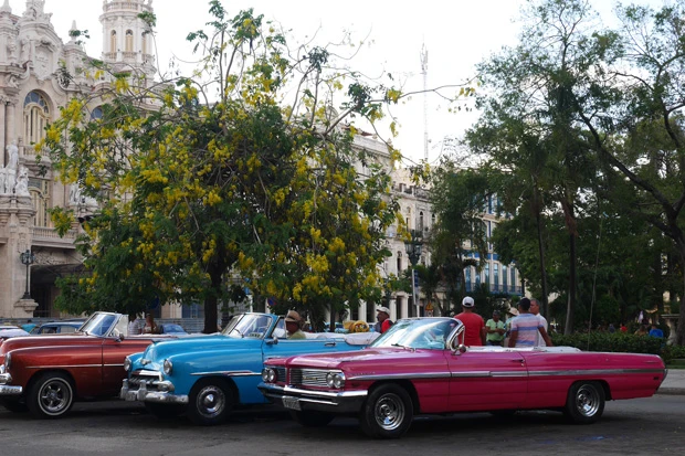 映画に出てくるようなレトロなクラシックカーにときめきます!