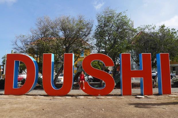 DUSHIはSWEETって意味なんだって! SUSHIじゃないよ!