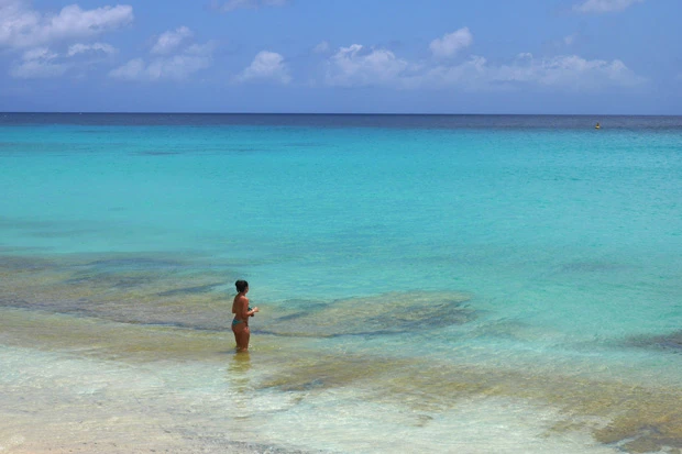 こんな美しく平和なビーチに何が…?