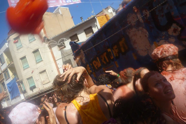 おそらくこのトマトが顔に当たったかと