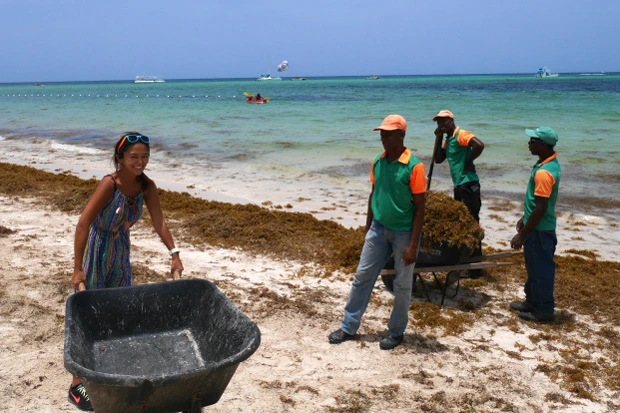  私も一緒にビーチをキレイにお掃除