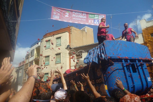 世界のトマト収穫量8位のスペイン。トマティーナでは120トンものトマトが投げられる。今年は70周年でもっと多かったとの噂