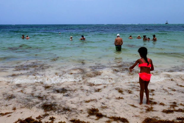  カリブ海の味噌汁
