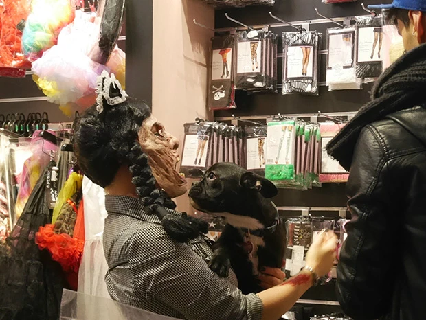 グロいマスクを舐める犬