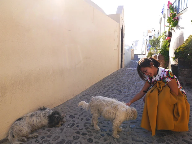 ずっとついてきた愛嬌のあるワンちゃんたち