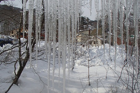 雪は降らなくても全国的に今週は冷え込むようですね! 皆さん、風邪などには気を付けてください♪