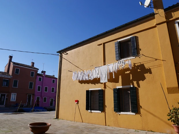 白だけを並べた洗濯物。CMか!