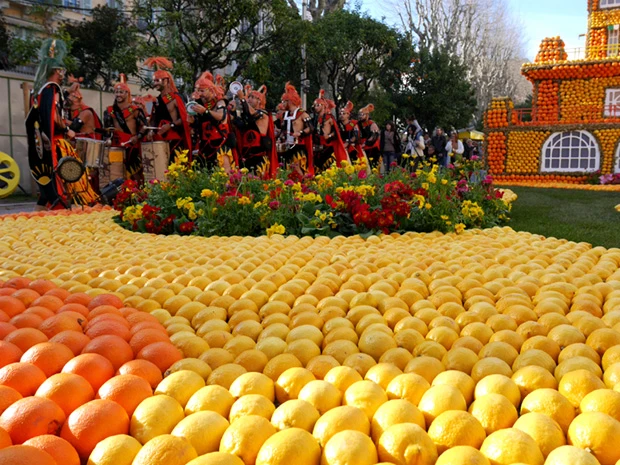 レモンとオレンジの絨毯