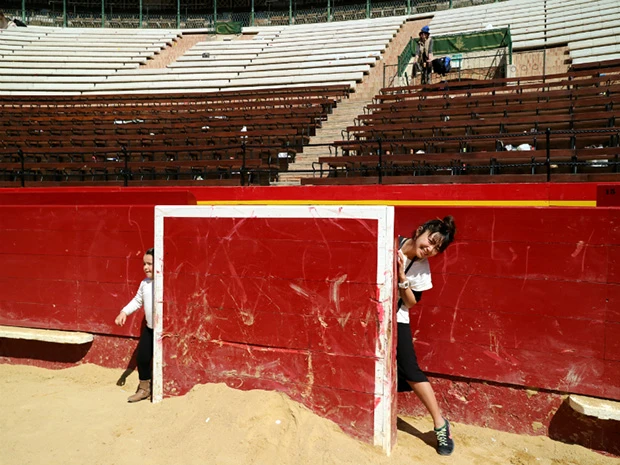 牛から隠れる壁。TVでやってるのはここに隠れたりするのが多いよね