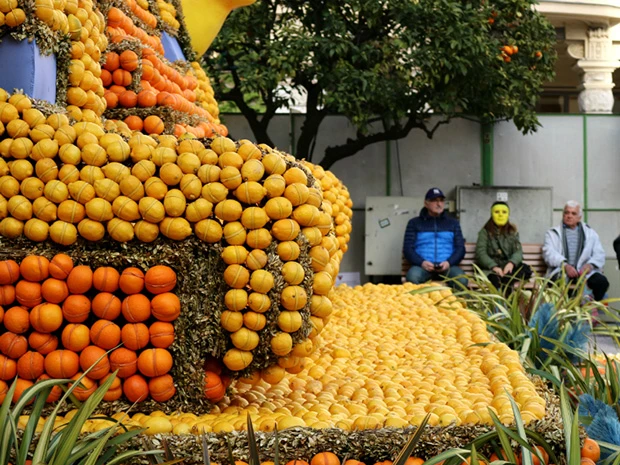 寂しげなマリレモン