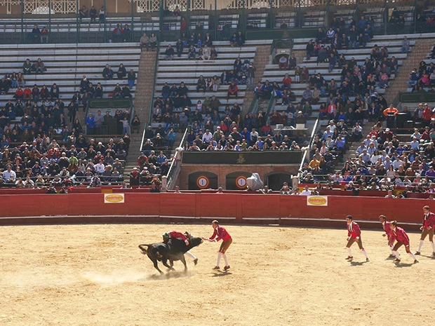 正面から突進してくる牛を抑え込む団体競技もあった
