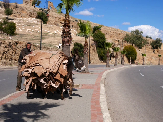回収された皮はロバに積んで街へ運ぶ