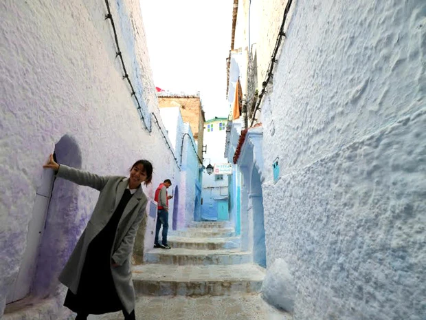 珍しい薄紫のところもあった! 紫もいいなぁ