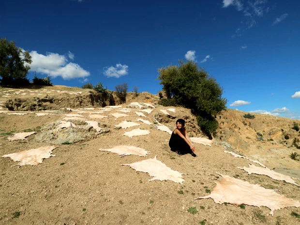 皮が丘の上にいっぱい広げられていた