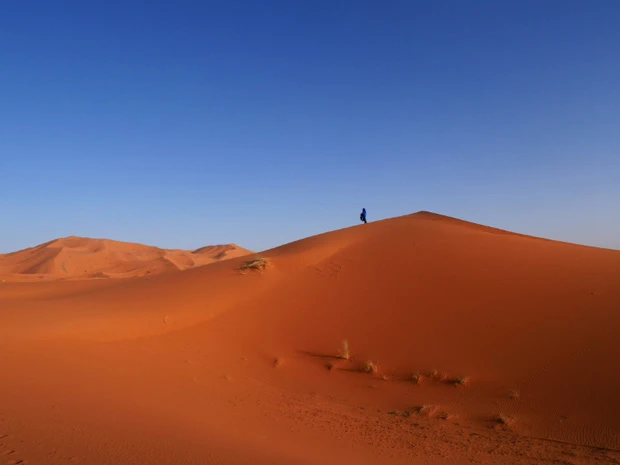 砂漠の民ハッサンは、さすが砂の上を歩くのが上手。あっという間に遠くへ