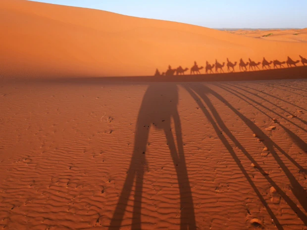 砂漠に伸びるラクダのシルエット