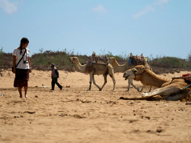 すぐ近くには泳げるビーチもあって、乗馬を楽しんだりラクダにも乗れちゃうんです!
