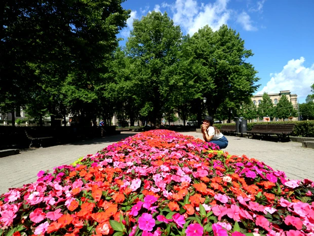  お花畑でウフフ～と笑顔の練習中のマリーシャ
