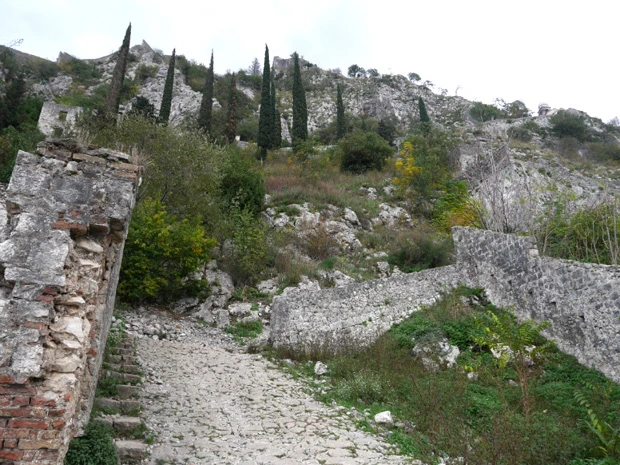 この石階段を昇っていくのだが…